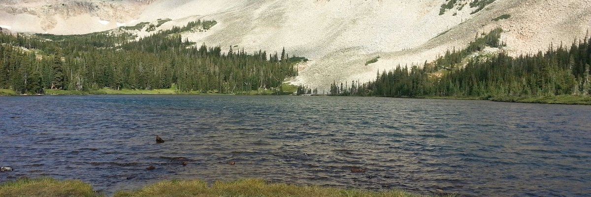 andreagscott's profile banner image