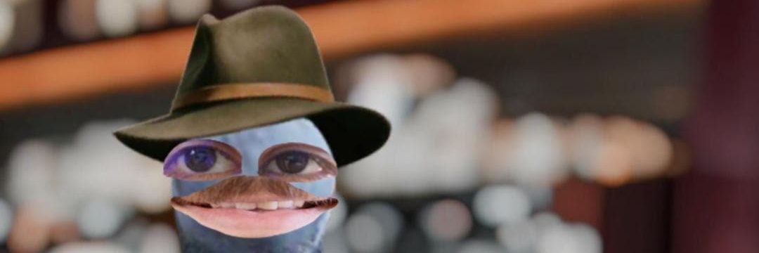 LecesneD's profile banner image