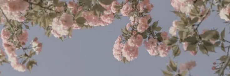 baleighhale's profile banner image