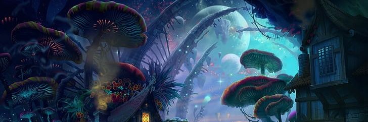SonaraParker's profile banner image