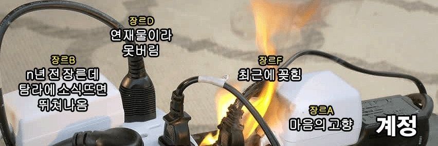치즈보 banner
