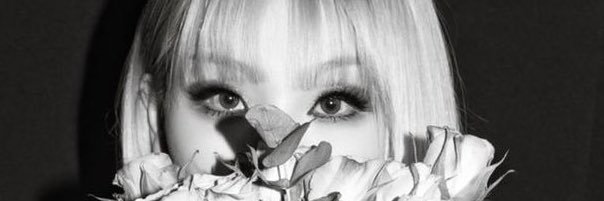 0226kush's profile banner image