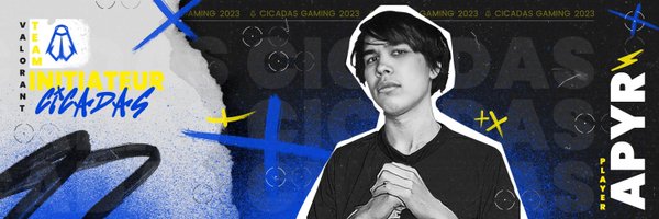 ApyrVAL Profile Banner