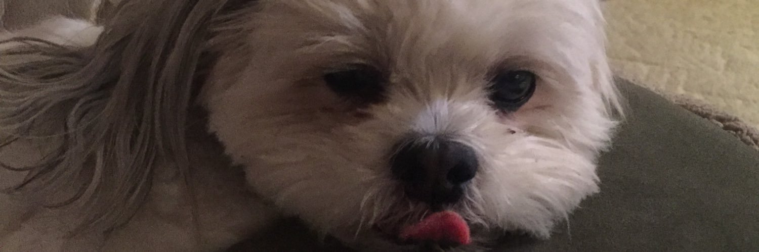 hannahzeebs's profile banner image