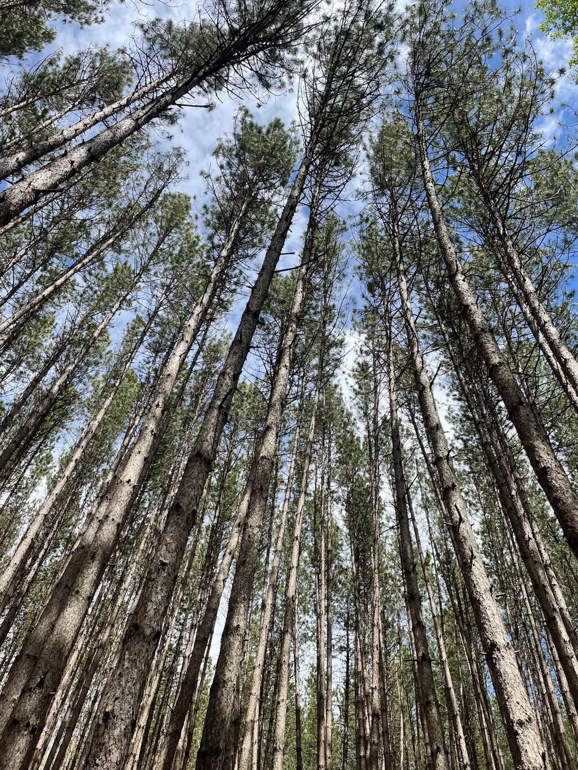 NikkiJade's profile banner image