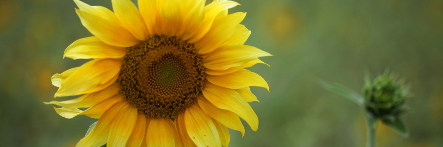 taysvry's profile banner image