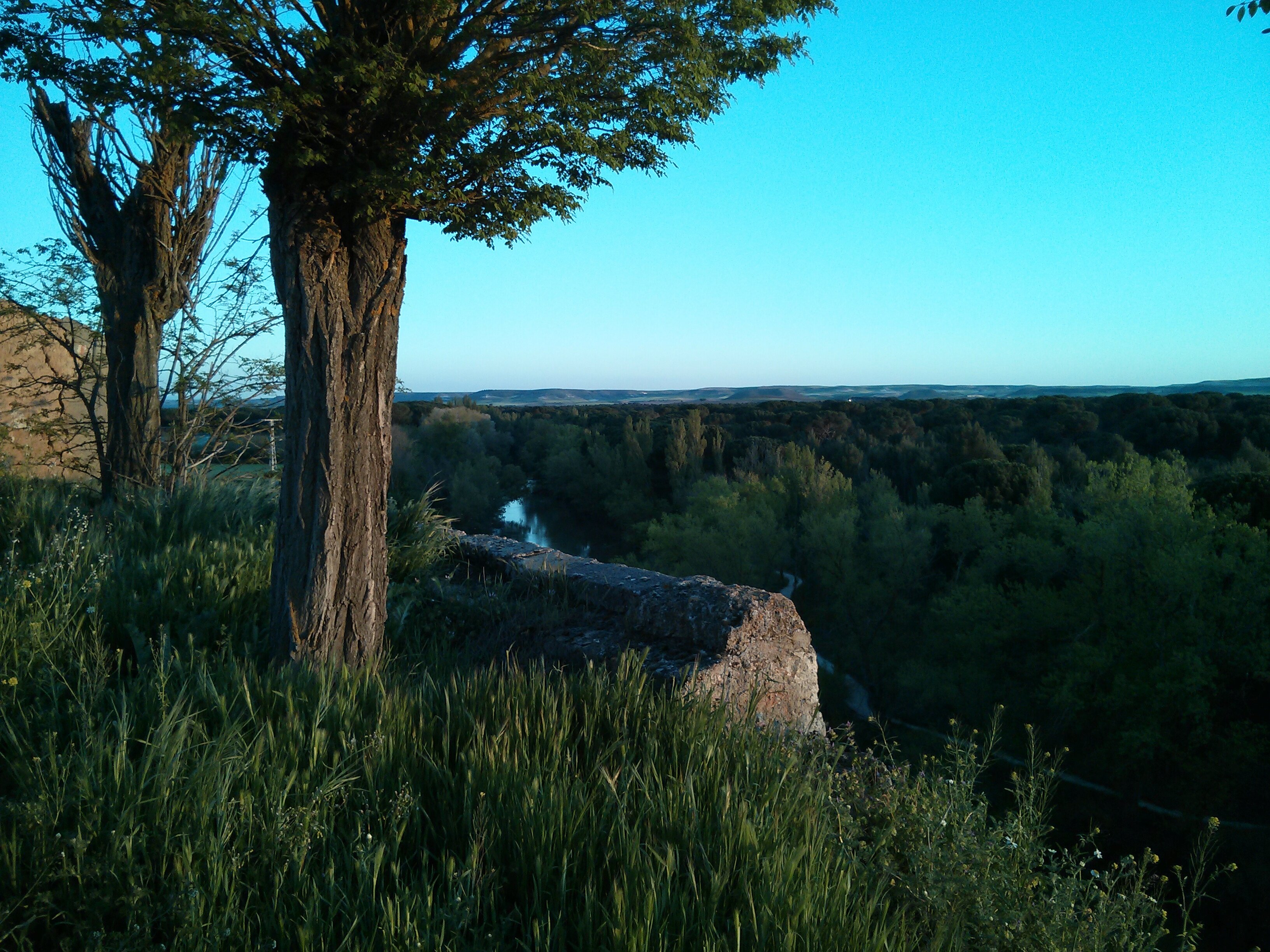 mriveraz65's profile banner image