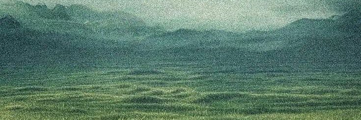 mberlin88's profile banner image