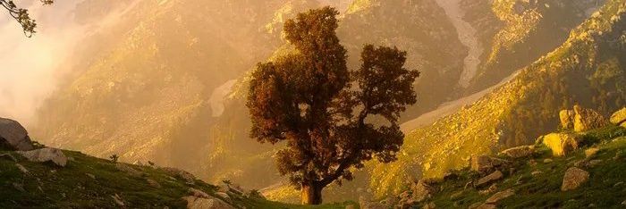 gewoonaurelius's profile banner image