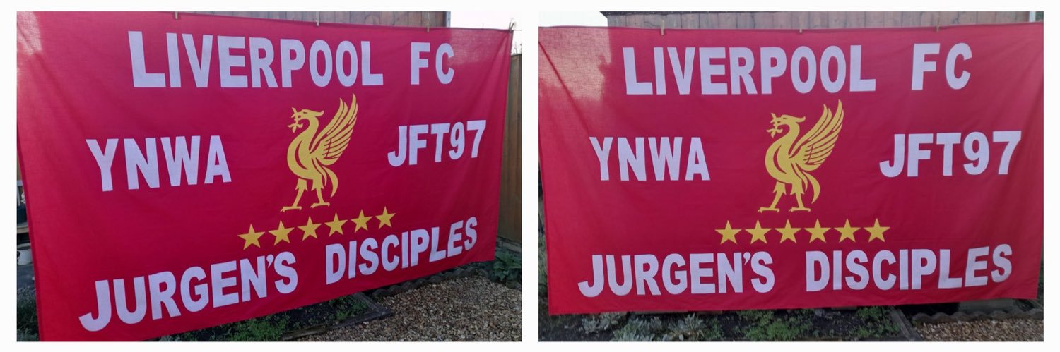 Lee Love banner