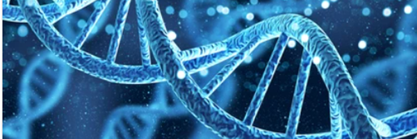 helin_hocaoglu Profile Banner