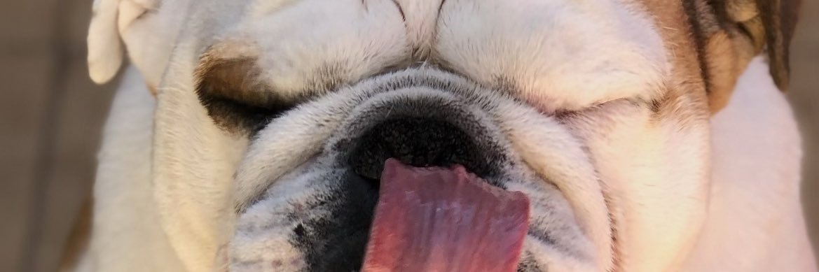 GabbVAAL's profile banner image