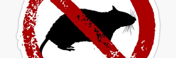 nolan_bfg's profile banner image