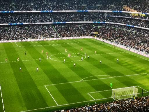 THFC_FOR_LIFE's profile banner image
