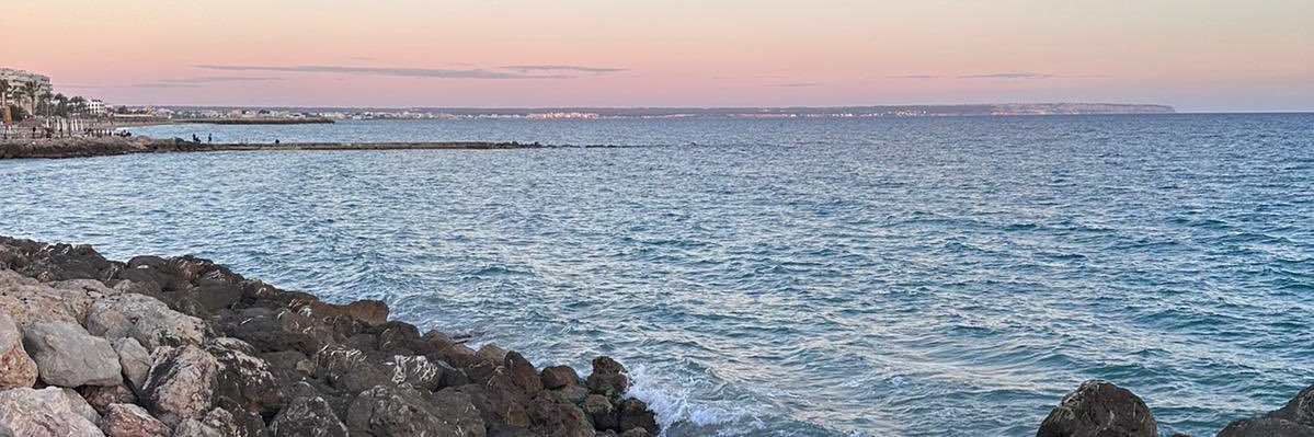 zwingham's profile banner image