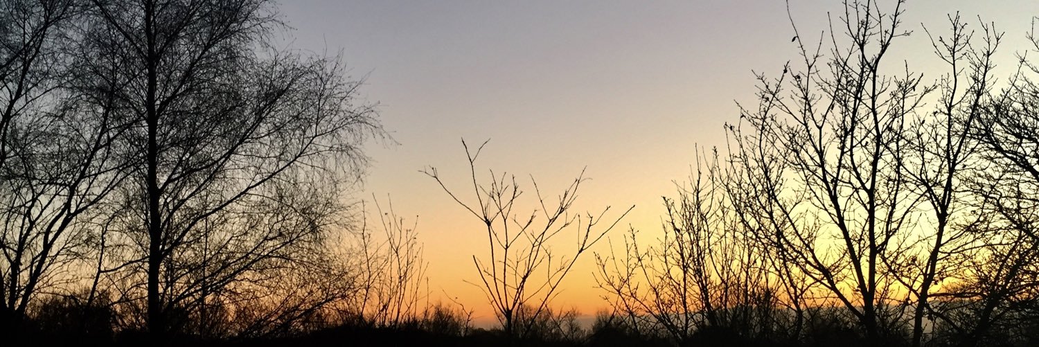 bbbbrom's profile banner image