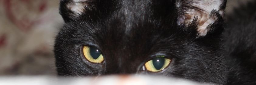 OtgQuii's profile banner image