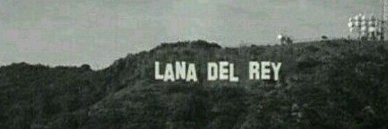 Zoenn banner
