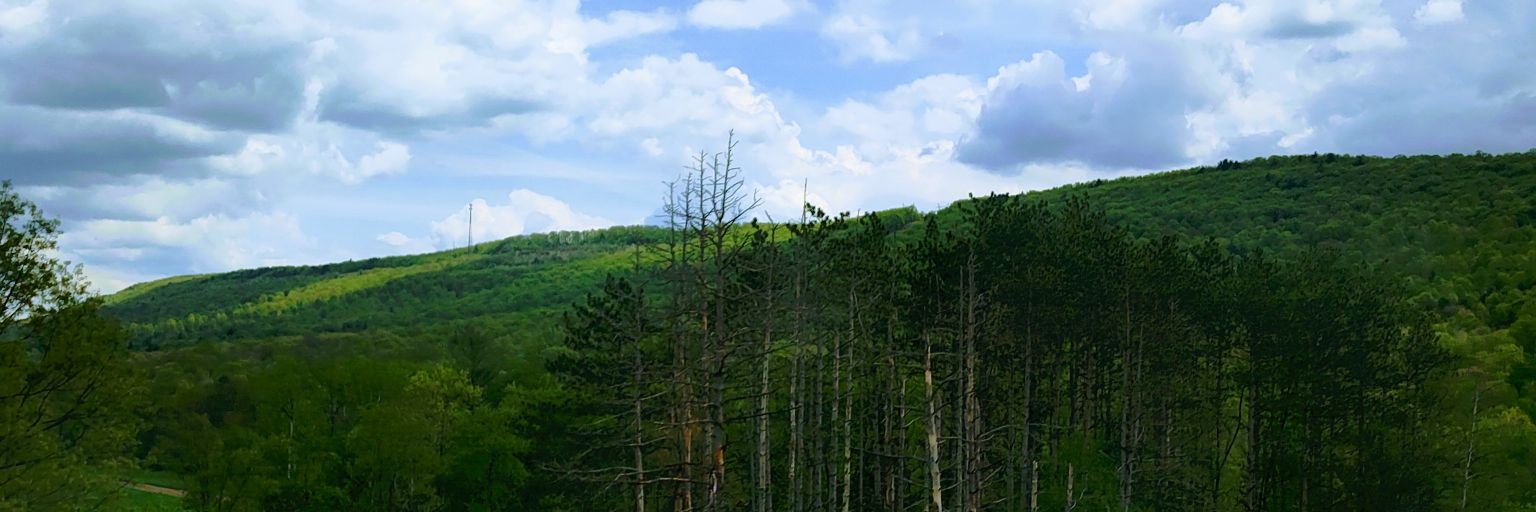 Rkelz_232's profile banner image
