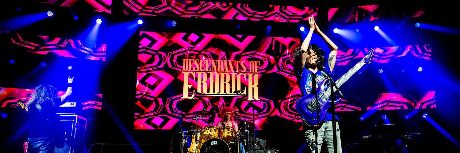 Descendants of Erdrick banner