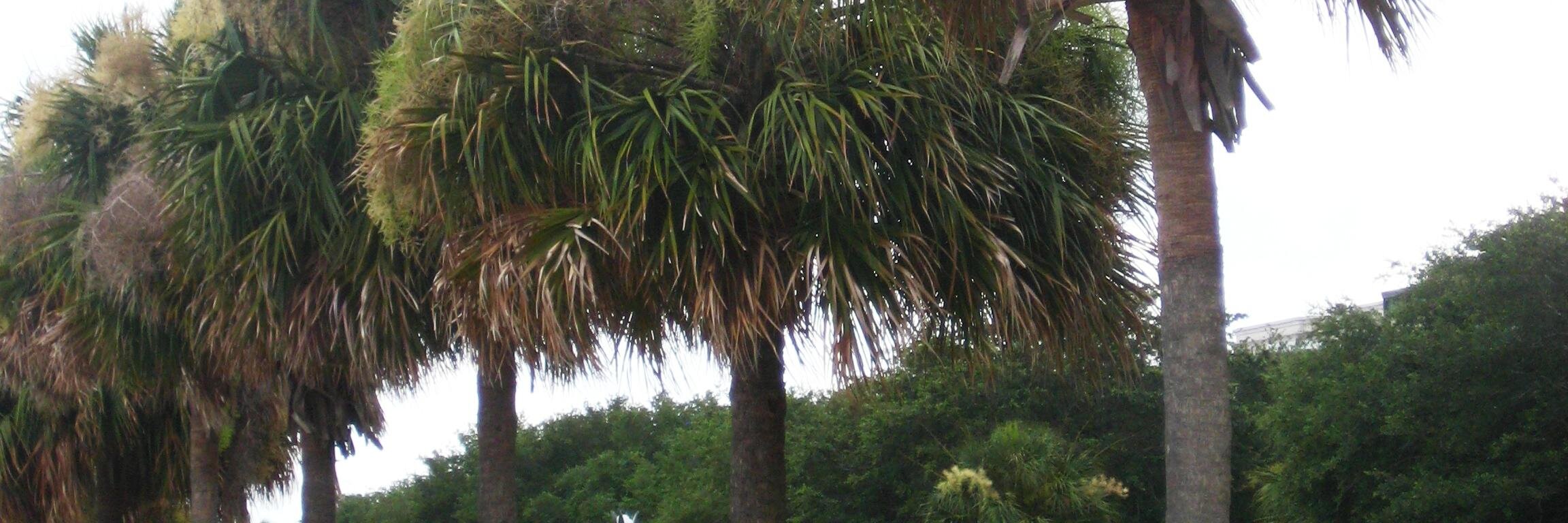 micahlee's profile banner image
