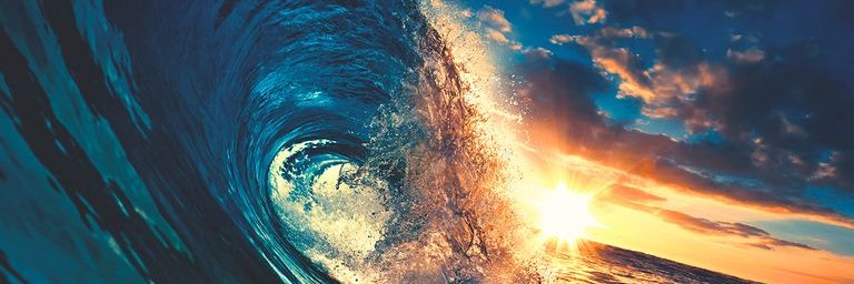 OpenSailor RRCC 🤖"(💙,🧡)"🛸🧊🤘⚙️🎁🐶✨ banner