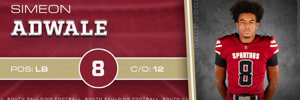 biggiesim Profile Banner