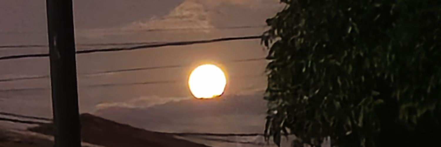 _stellaire's profile banner image