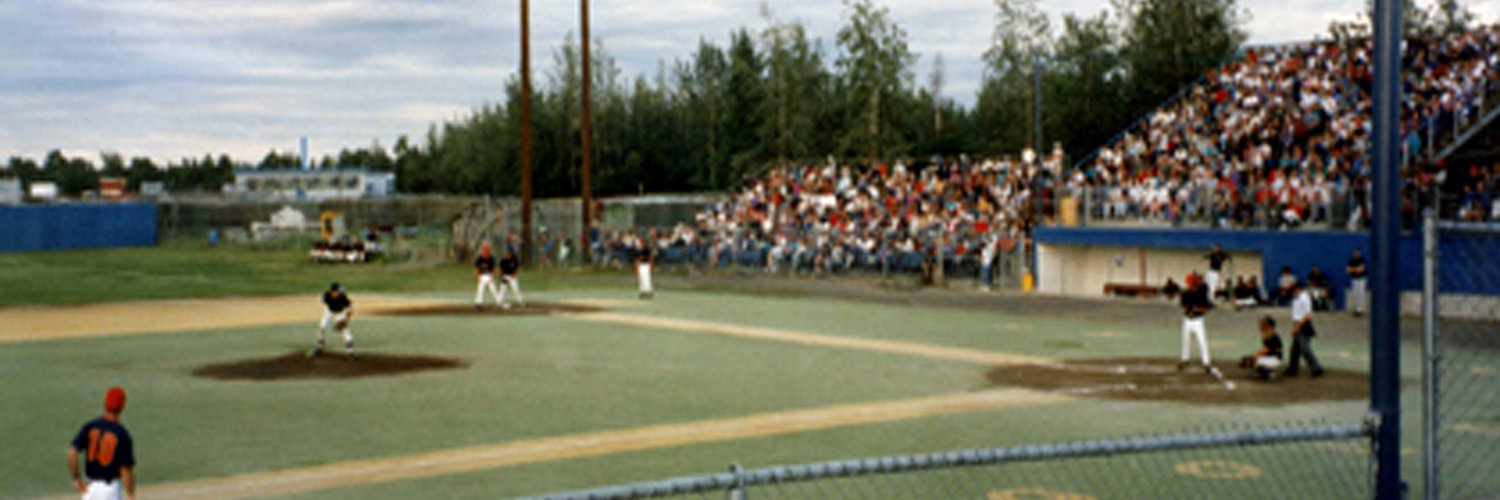 Goldpanners's profile banner image