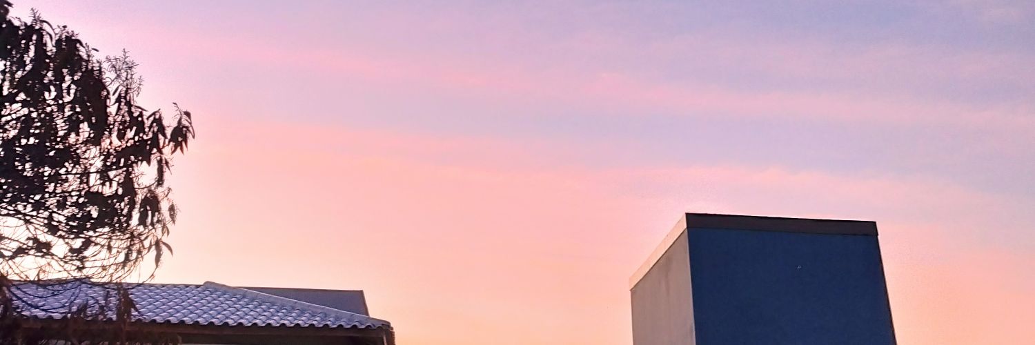 MariLNery's profile banner image