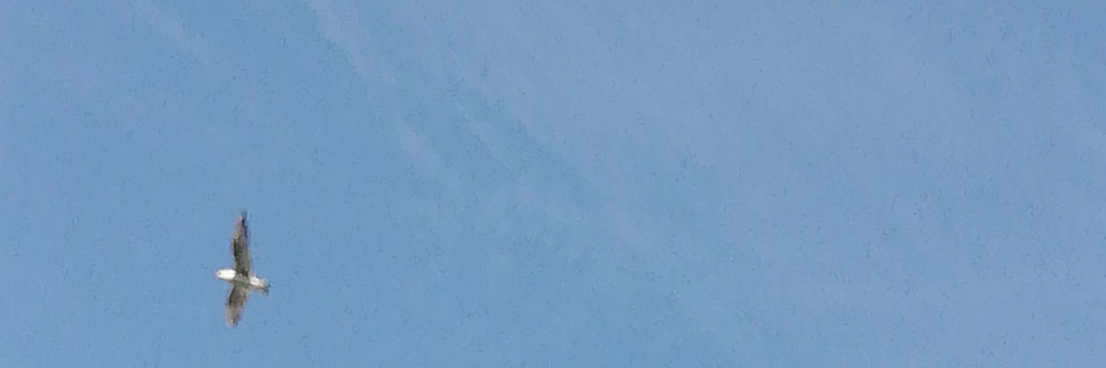 cuud01's profile banner image