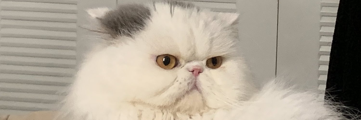 OsFuenmayor's profile banner image