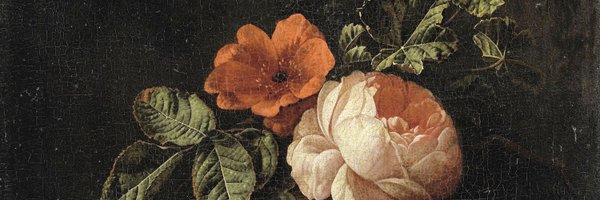 tabe11111 Profile Banner