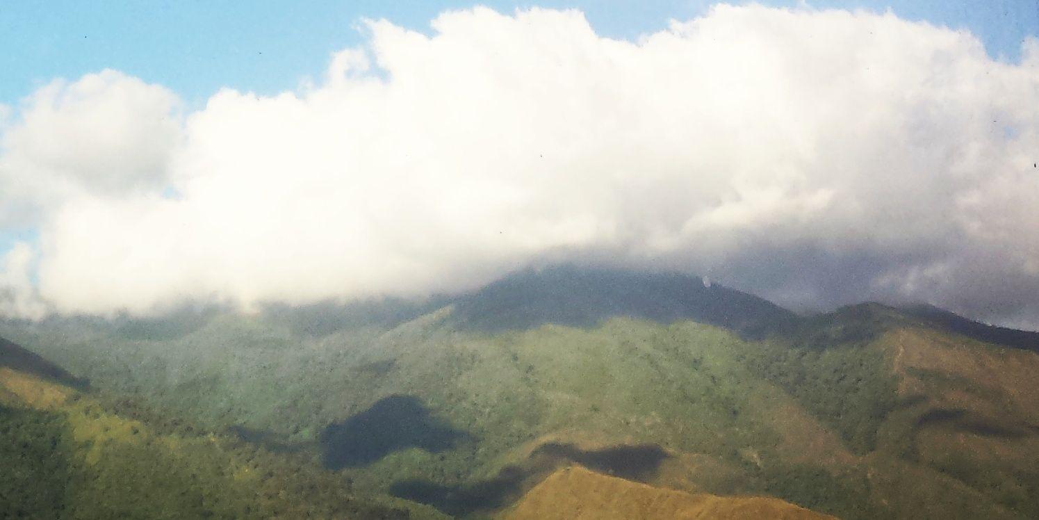 mcaldeiras's profile banner image