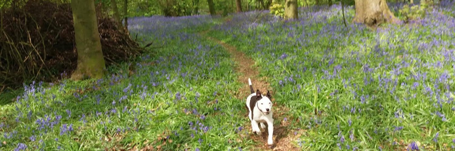 Greenleaf Animal Rescue banner