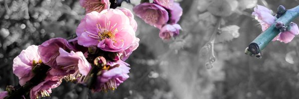 onsightether Profile Banner