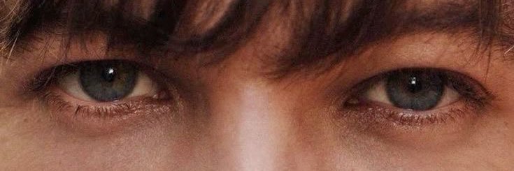lvs louis ໑̣ banner