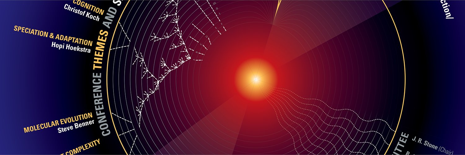 PatternAll banner