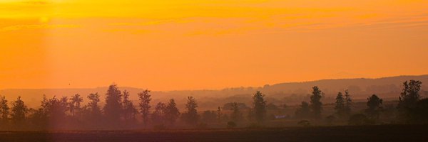 noneetono Profile Banner