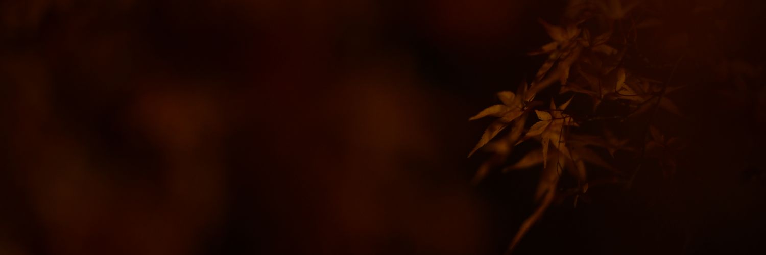 renorsfr's profile banner image