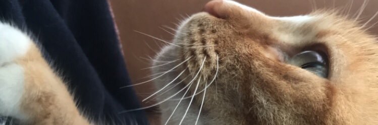 nery_duds's profile banner image