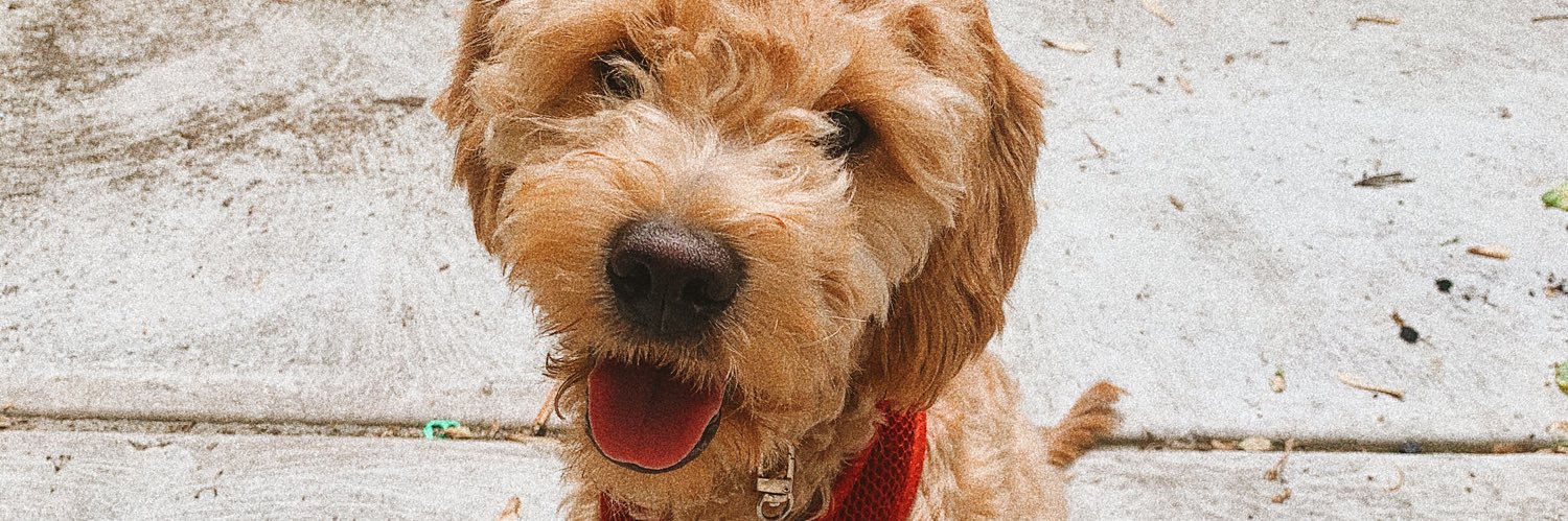 jacmackrell's profile banner image