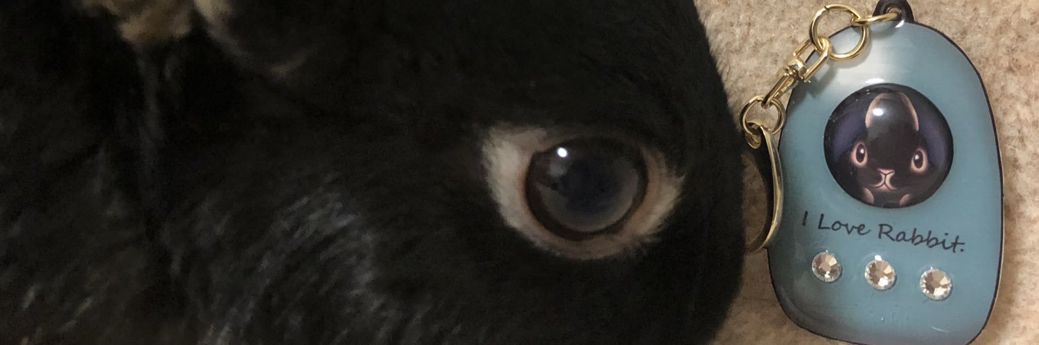 vspitzv's profile banner image