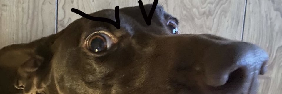 LeinbergerK's profile banner image