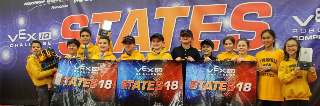 Triangle ES Robotics banner