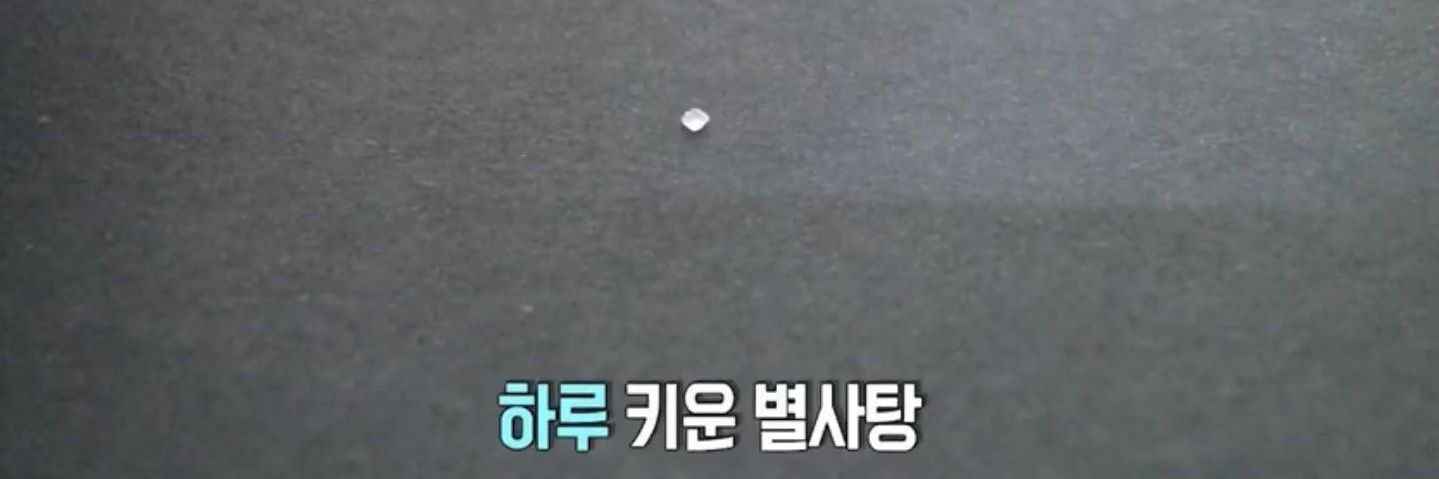 만곰's banner