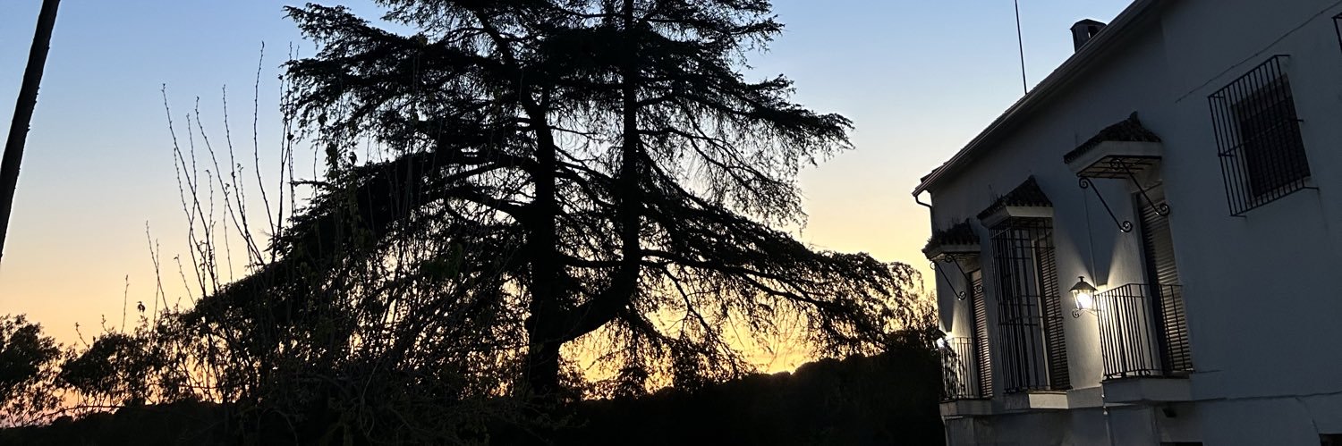 TeSometo's profile banner image