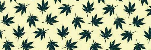 Timmybillings1's profile banner image