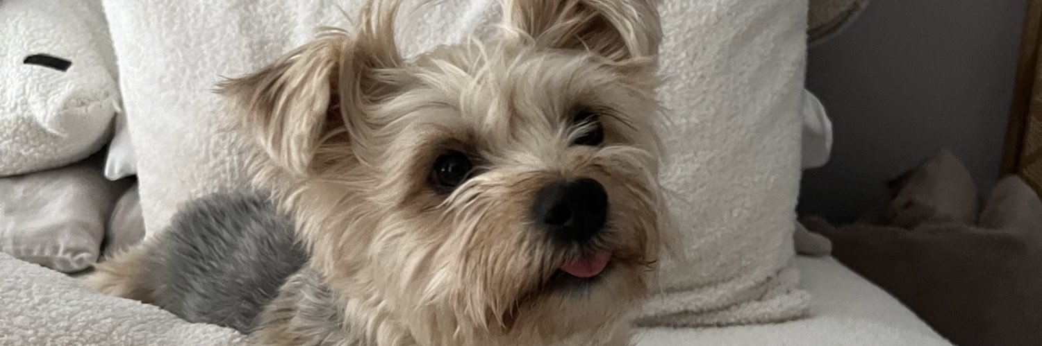abbbybrinker's profile banner image