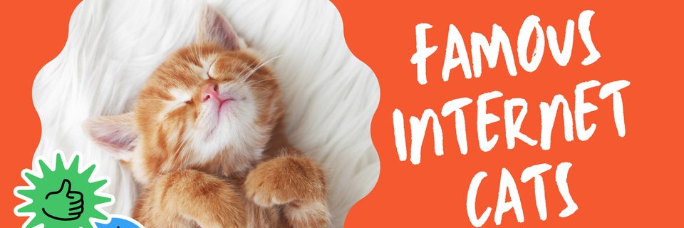 Famous Internet Cats banner